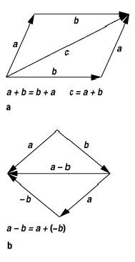 Vektor